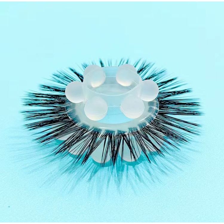 Spinal Neural Cream